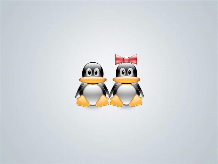 40 Linux  Wallpapers 1024 X 768 - Linux Wallpaper 24.jpg