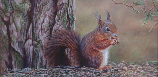 wiewiórki - squirrelnutkin1200-630x307.jpg