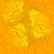 żółte - bgnuovi 11.jpg