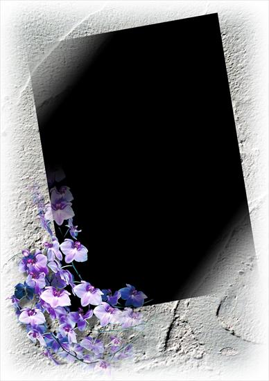 RAMKI KWIATY LETNIE - Ramki z kwiatami 178.png