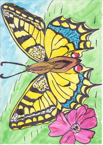 motyle - Rozwój motyla5.jpg