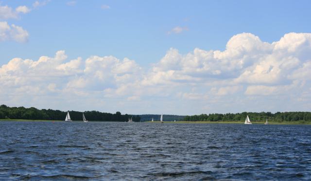 FOTO MAZURY - zagle11.jpg