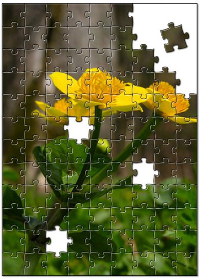 puzle - jigsawef617f708d6bc0c397980dd8e56ddc5a4f66d5d6.jpg