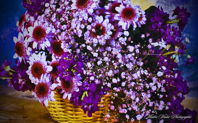 kwiaty w koszach - poiuybv7.jpg