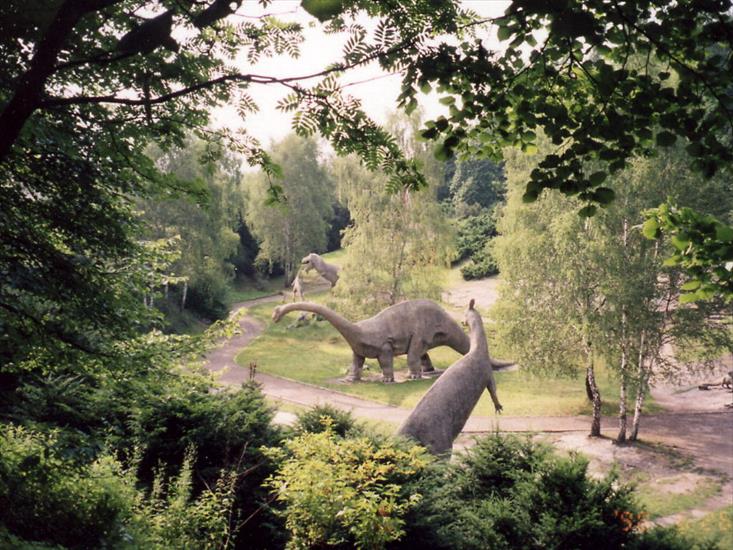 Chorzów - park w zoo.JPG