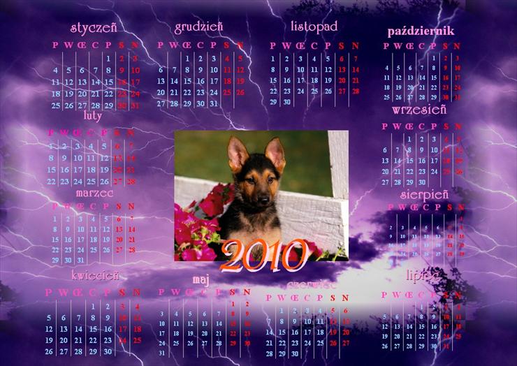 Kalendarze 2010 - 38.JPG