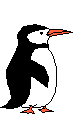 zwierzaczki gify - pingwiny781.gif