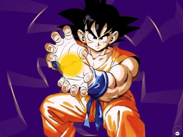 Tapety DB - Dragon Ball 089.jpg