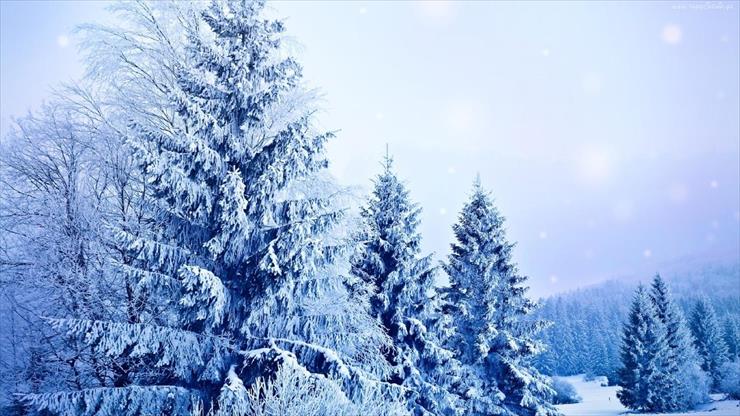 piękne świąteczne tapety - ośnieżony las.jpg