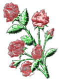  róże - ros085.gif