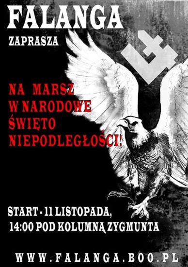 Pouczające,ważne,bardzo ciekawe - Narodowe Święto Niepodległości.jpg