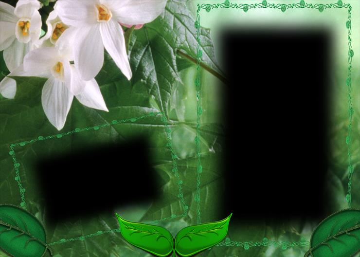 RAMKI ORCHIDEE - Ramka z kwiatami 1798.PNG