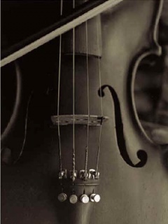 wallpapers 240x320 cz.3 - Violin.jpg