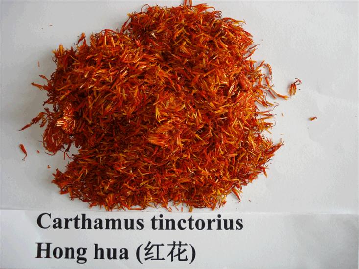 CHIŃSKIE - Carthamus tinctorius - Hóng hu.gif