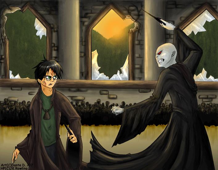 Harry Potter vs. Lord Voldemort - Harry i Voldemort 07.png